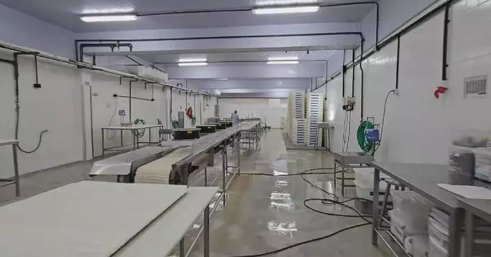 Brazilian seafood industry reels from fresh US tariffs