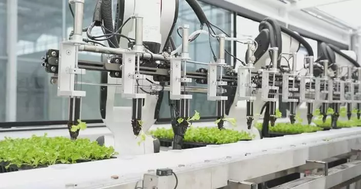 High-tech farm automates vegetable planting, harvest in China&#8217;s Zhejiang