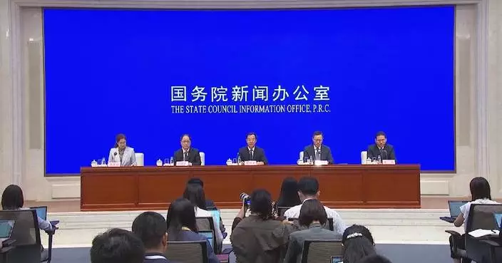 China sees breakthroughs in digital tech innovation, data utilization: official