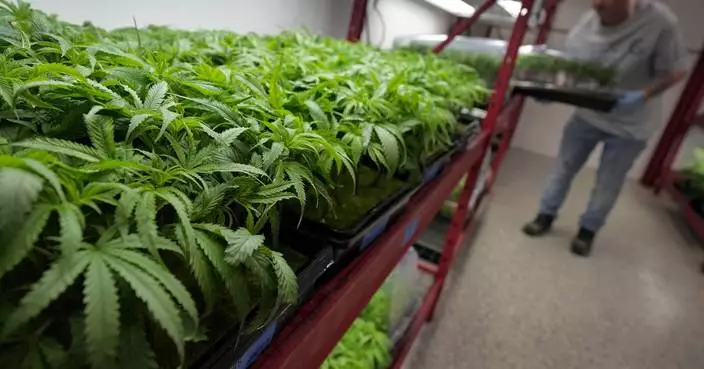 What to know about Trump&#8217;s potential change in federal marijuana policy