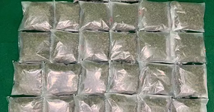 Hong Kong Customs Seizes 13 kg of Cannabis Buds from Passenger at Airport, Arrest Made