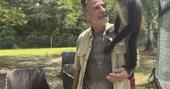 A Mississippi monkey sanctuary helps veterans with PTSD find peace