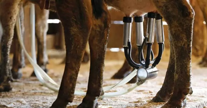 Raw milk sickens 21 people in Florida including 6 children