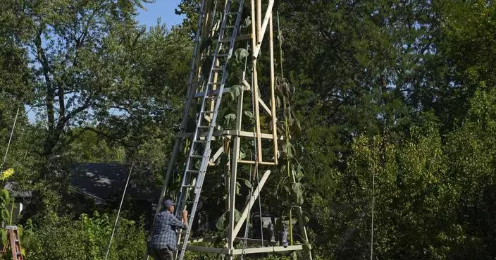 The world’s tallest sunflower blooms in an Indiana backyard as a tribute to Ukraine