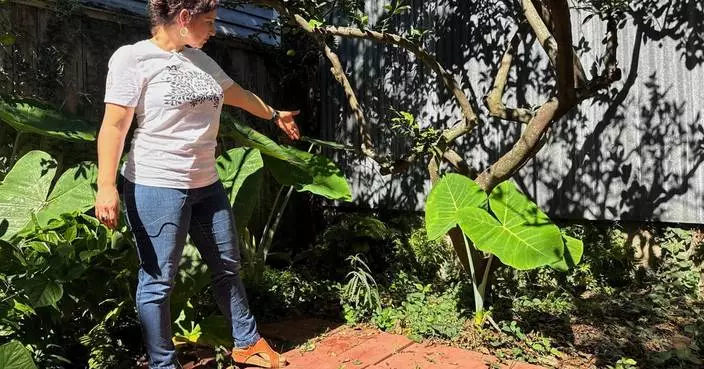 A long-lost ancient Roman artifact reappears in a New Orleans backyard