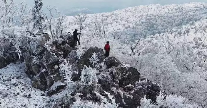 Cold waves bring stunning snow, rime scenery across China