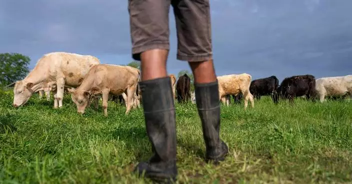 Photos of cattle ranching in Argentina and the US as Trump plans to import more Argentine beef