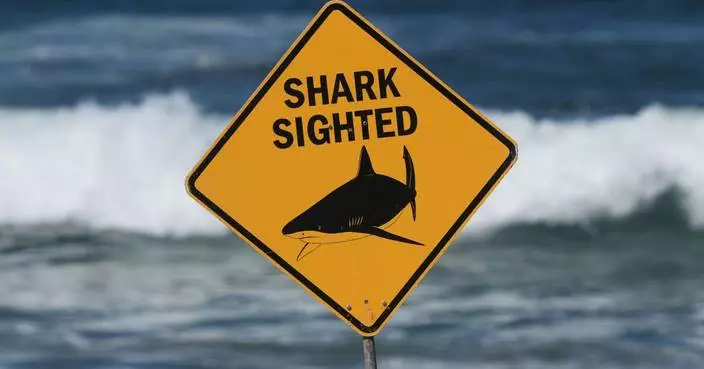 A shark kills a woman and seriously wounds another swimmer at an Australian beach