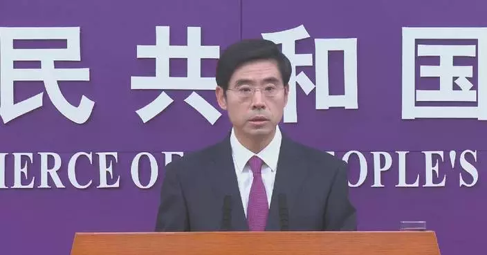 Netherlands should work with China to solve Nexperia issue: spokesman