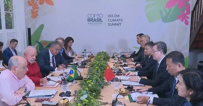 Chinese vice premier meets with Brazilian president, president&#8217;s chief of staff