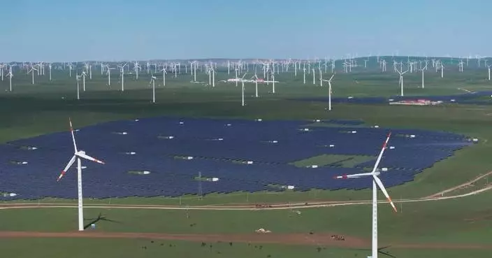 China&#8217;s economic planner issues guideline to boost new energy consumption