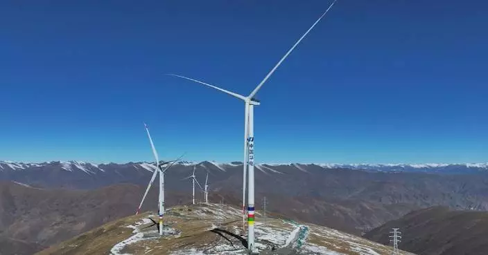 Xizang wind farm with largest single-capacity turbines connected to grid