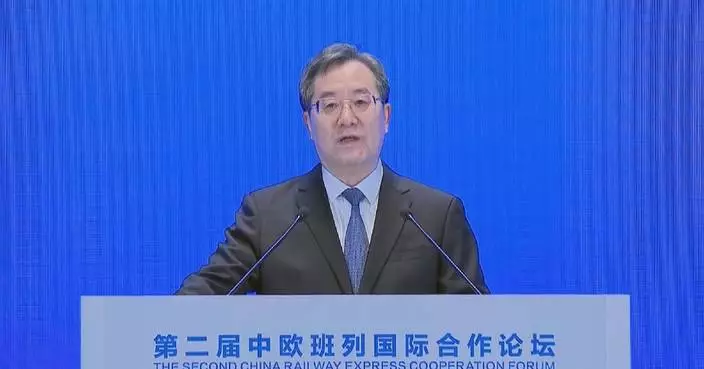 Chinese vice premier calls for further advancing China-Europe railway express cooperation