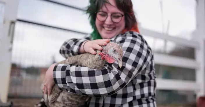 At The Gentle Barn, turkeys are for snuggling, not stuffing at Thanksgiving