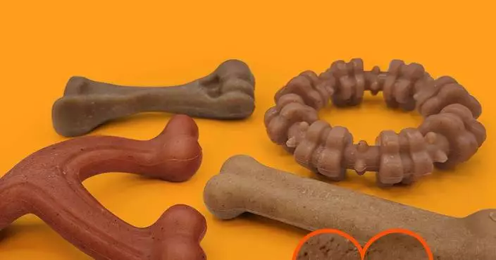 Nylabone Introduces New Collection of Dog Chew Toys Made with REAL Chicken, Bison, Venison, Bacon, and Beef