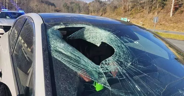 Motorist in North Carolina tells 911: &#8216;I just had a bald eagle drop a cat through my windshield&#8217;