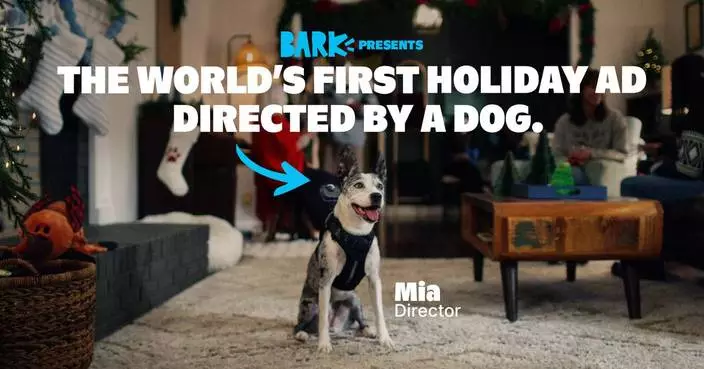 BARK Shifts Creative Control to the Real Holiday Experts: Dogs