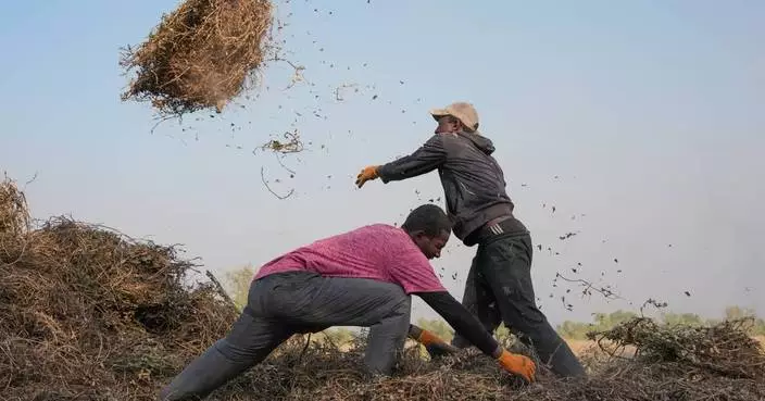 Young Africans find hope in farming as urban life becomes too expensive