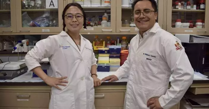 Feinstein Institutes’ Research Pinpoints Core Cause of Vascular Cognitive Impairment, Unlocking New Therapeutic Avenues for Cognitive Decline