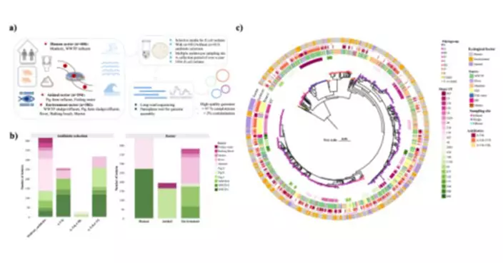HKU Team Tracks Superbug Genes Across Hong Kong Waters