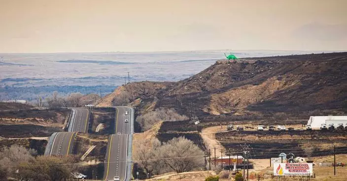 Texas sues utility company to recover damages from historic wildfire sparked by downed power lines