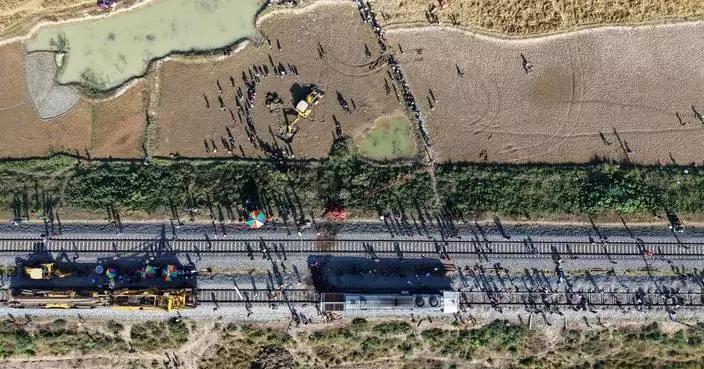 High-speed passenger train kills 7 elephants crossing railway tracks in northeast India