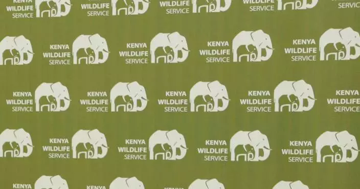 Kenyans protest after roaming elephants kill 4 people in a week