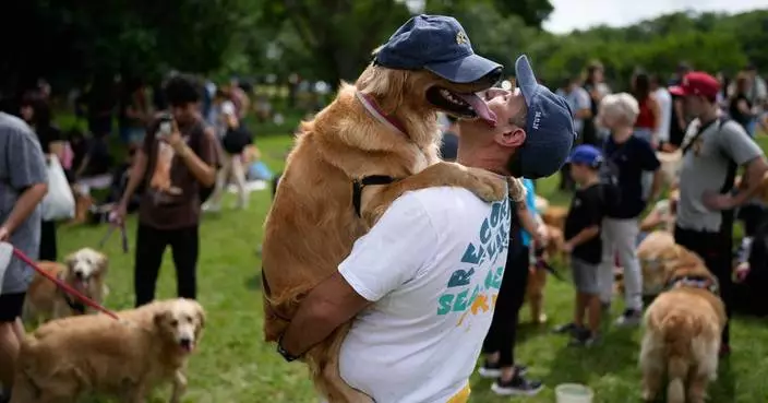 A symphony of woofs: This is what happens when 2,397 golden retrievers gather in an Argentina park