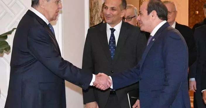 Egypt's el-Sissi urges UN Security Council reforms for Africa's larger role