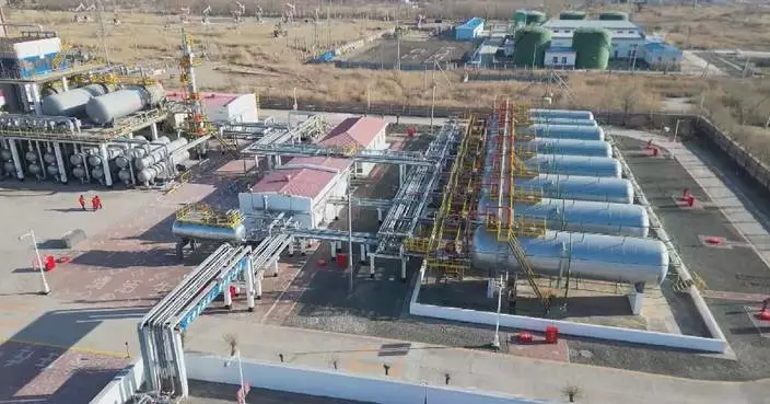 Shale oil output in northeast China hits 1mln tons with tech breakthroughs, green transition