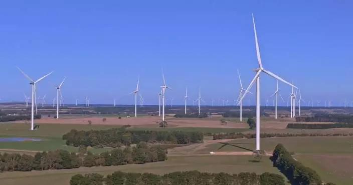 China holds core leading position in global offshore wind power production: report