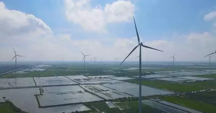 Chinese premier chairs meeting on carbon reduction, administrative law enforcement