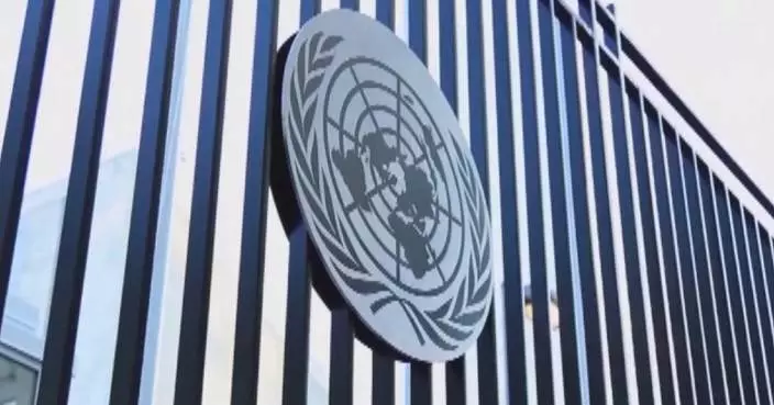 Chinese envoy urges int'l community to confront root causes of Palestinian question