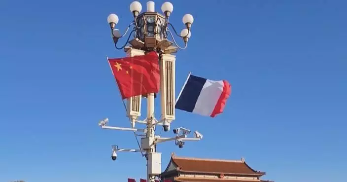 China-France joint statement gives new impetus to addressing global challenges: expert