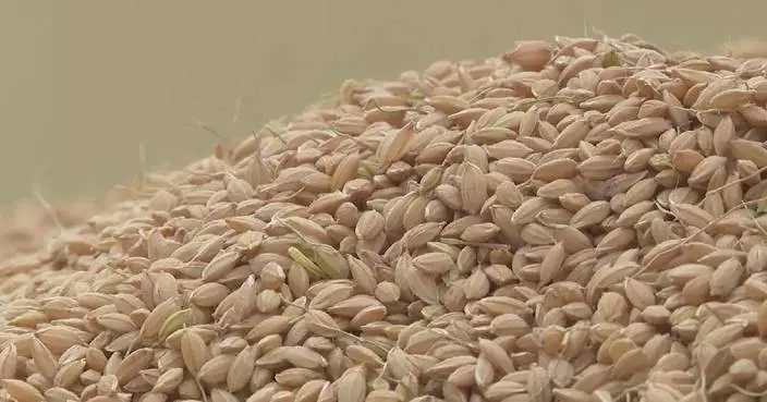 Rice prices in Japan hit record high