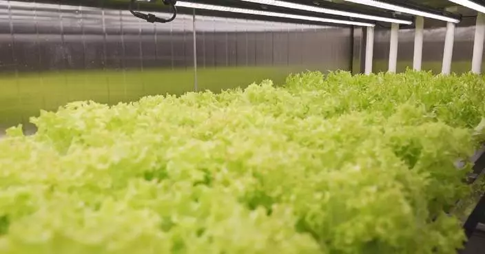 China unveils smart shipboard farm to supply offshore workers with fresh produce