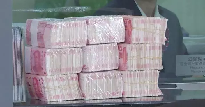 China's foreign exchange reserves rise in November