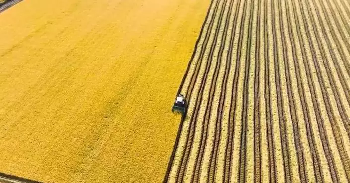 China makes solid progress in rural modernization in 2025