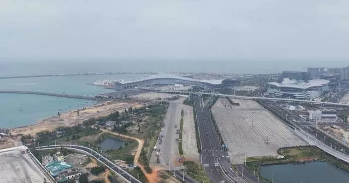 Second-tier ports ramp up efficiency for free trade port's special customs operations