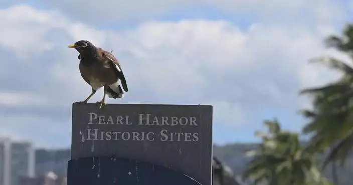 Pearl Harbor&#8217;s legacy resonates 84 years on