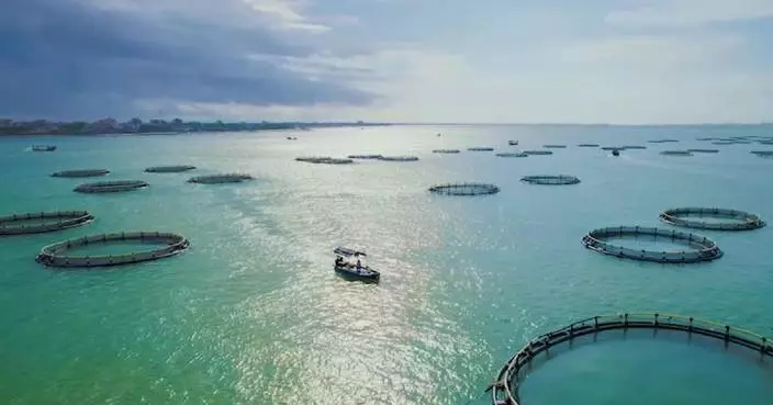 China accelerates rollout of marine economy application scenarios