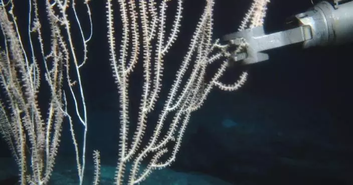 Chinese research vessel releases footages of deep-sea mineral, bio-resources