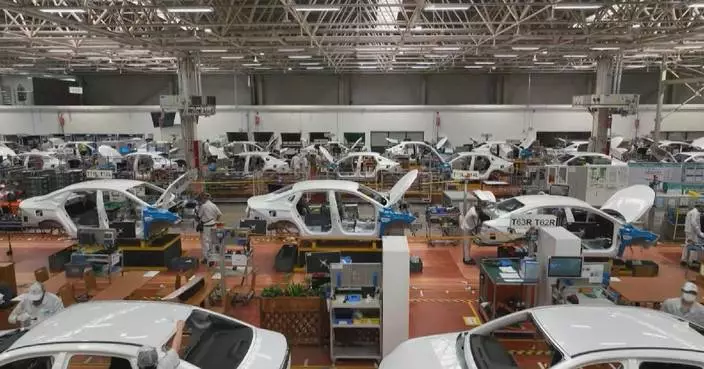 Auto output, sales maintain robust growth momentum in November