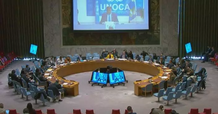 Chinese envoy calls for int&#8217;l efforts to help Central African countries enhance security capacity