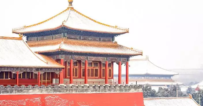 Beijing&#8217;s Forbidden City blanketed in snow
