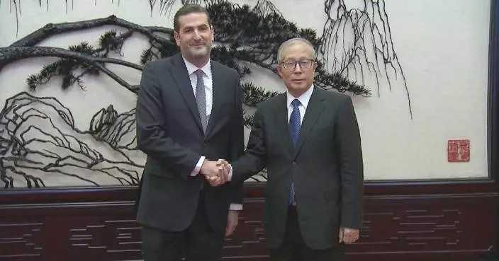 Senior Chinese legislator meets Portugal&#8217;s PSD delegation
