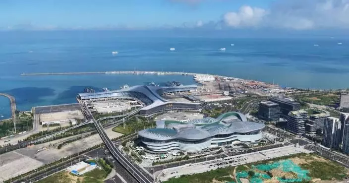 EU Chamber of Commerce sees renewed potential in Hainan after special customs operation