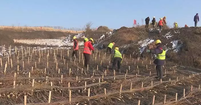 Annual grain output of Heilongjiang ranks first in China for 16th consecutive year