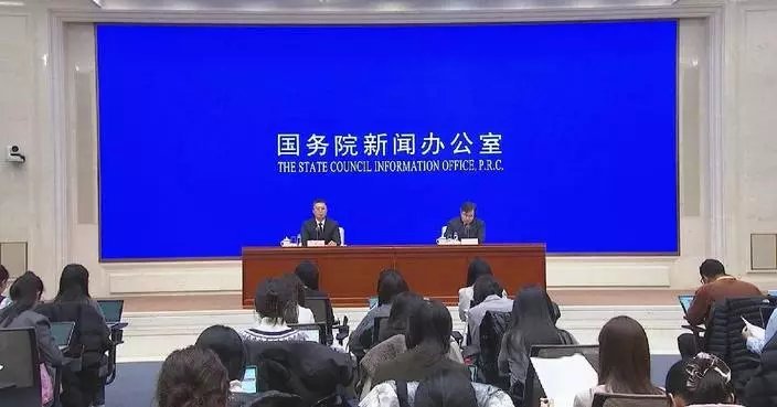 China's retail sales up 4 pct in first 11 months