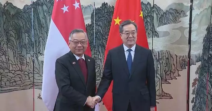 Chinese vice premier calls for enhanced cooperation with Singapore